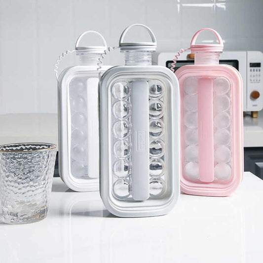 Portable Ice Grid Mold bottle