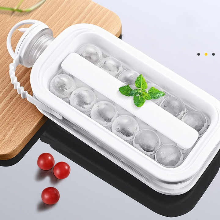 Portable Ice Grid Mold bottle